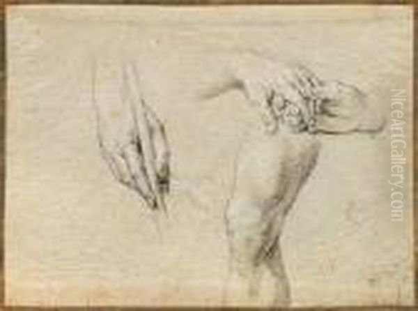Hand And Leg Studies - view 1