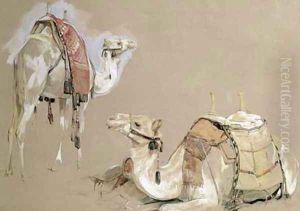 Camel Studies by John Frederick Lewis