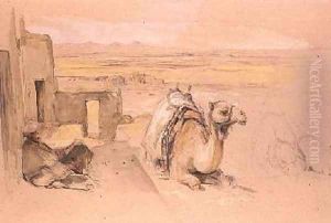Camel West Thebes