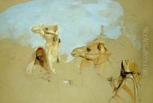Study of Camels with Bedouin Drivers in the Desert of Mount Sinai
