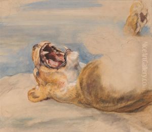 Study of a Lioness