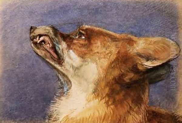 Head of a Fox - view 1