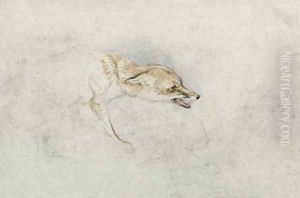 Study of a crouching Fox facing right verso faint sketch of foxs head and tail