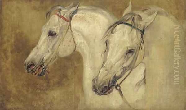 Two arab horses' heads - view 1