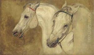 Two arab horses' heads