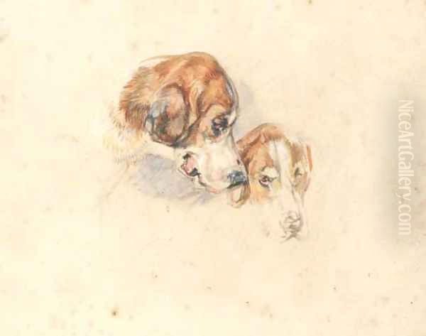 Study of Great Danes - heads - view 1