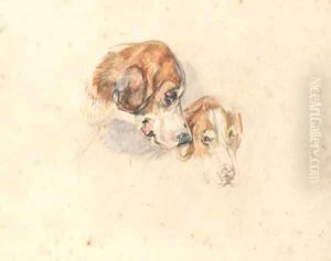 Study of Great Danes - heads by John Frederick Lewis