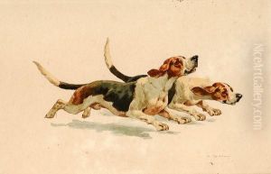 Chiens Courants
