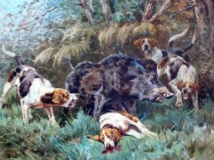 Sanglier Au Ferme