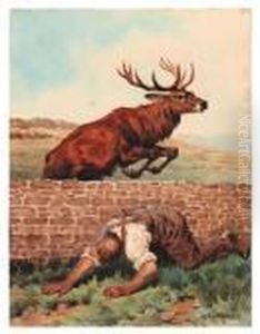 Le Saut Du Cerf Le Saut Du Cerf
