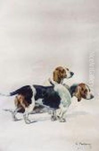 Couple Debassets Tricolores Couple Debassets Tricolores