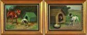scenes Animalieres scenes Animalieres