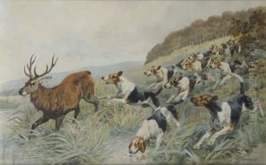 Cerf Hallali Courant Et Chiens Cerf Hallali Courant Et Chiens