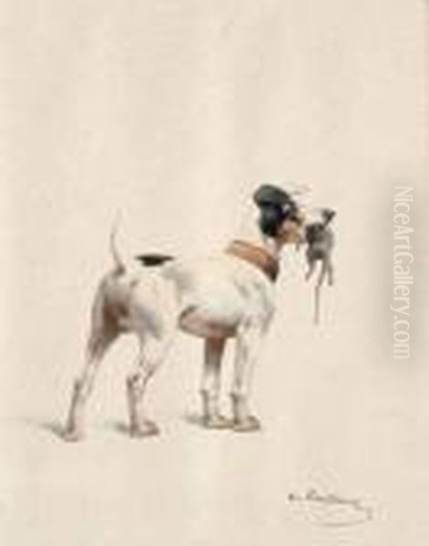 Chien Tenant Un Rongeur Dans Sa Gueule - view 1