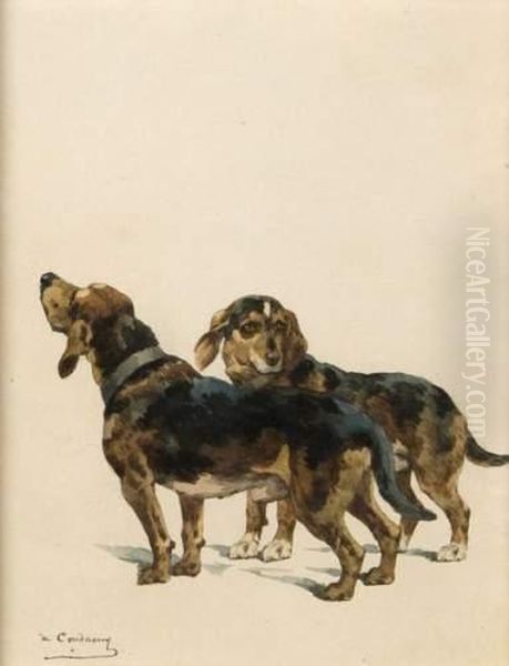 Les Deux Bassets - view 1
