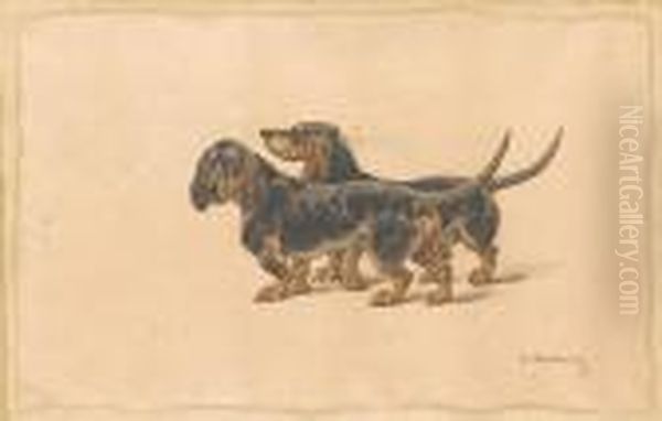 Two Dashchunds - view 1