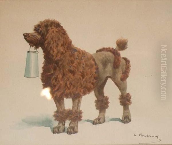 Caniche - view 1