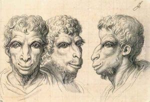 Physiognomic Heads Inspired by a Camel c. 1670 by Charles Le Brun