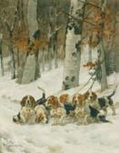 Bassets Artesiens Dans La Neige