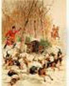 Sanglier Au Ferme.