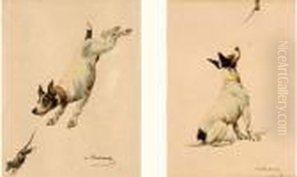 Le Chien Et Le Rat - view 1