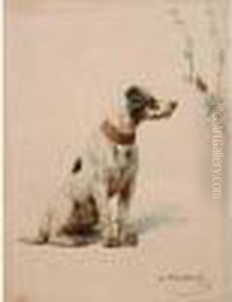 Le Chien Et L'insecte - view 1