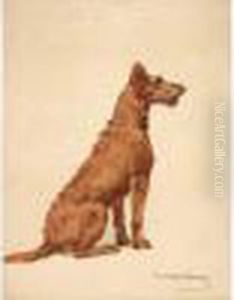 "chien Assis".