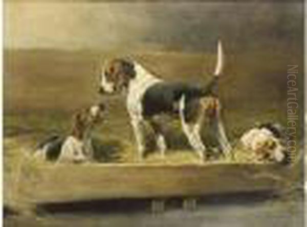 "chiens Au Chenil". - view 1