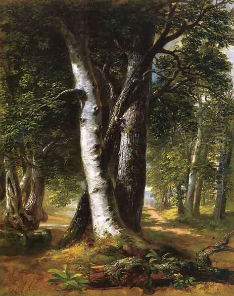 Woodland Path - view 1