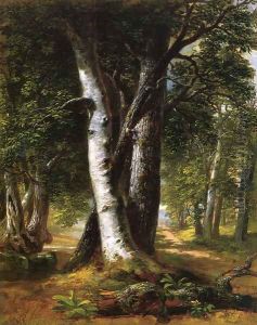 Woodland Path by Richard Lorenz