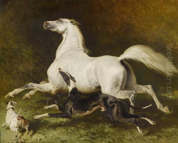 White Horse Galloping With Two Dogs - view 1