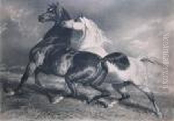 Chevaux En Liberte - view 1
