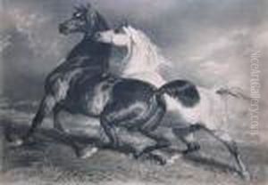 Chevaux En Liberte by Alfred De Dreux