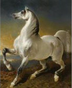Etalon Gris Effraye Par L'orage
