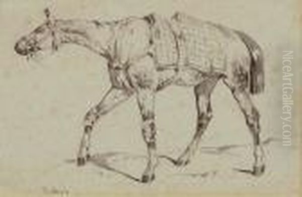 Cheval En Tenue De Presentation. - view 1