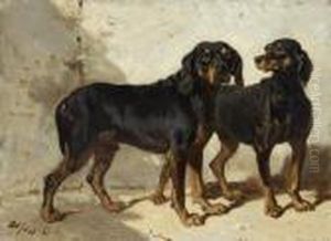Deux Chiens Devant Un Mur