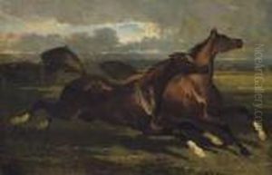 Etalons Au Galop: Galloping Stallions