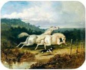 Deux Etalons Gris Et Un Chien Galopant Dans La Campagne Deux Etalons Gris Et Un Chien Galopant Dans La Campagne