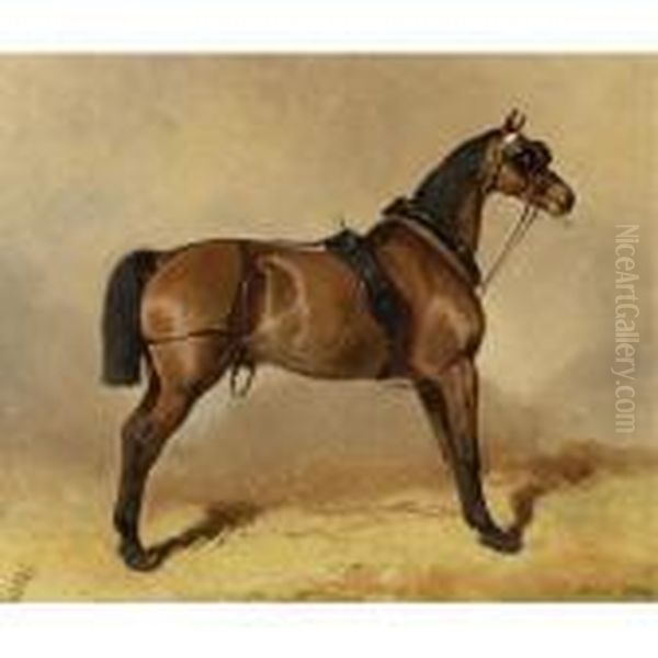 Cheval De Trait - view 1