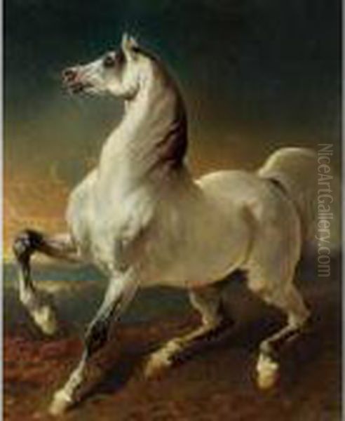 Cheval Blanc Effraye Par L'orage - view 1