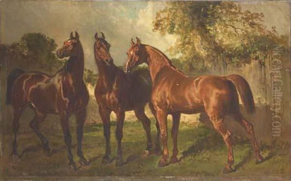 Trois Chevaux Dans Un Sous-bois - view 1