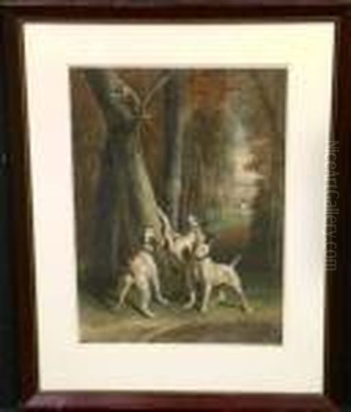 [treed Cat] - view 1