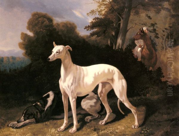 A Greyhound In An Extensive Landscape - view 1