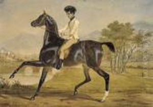 A Gentleman On Horseback by Alfred De Dreux