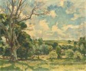The Wiltshire Downs The Wiltshire Downs