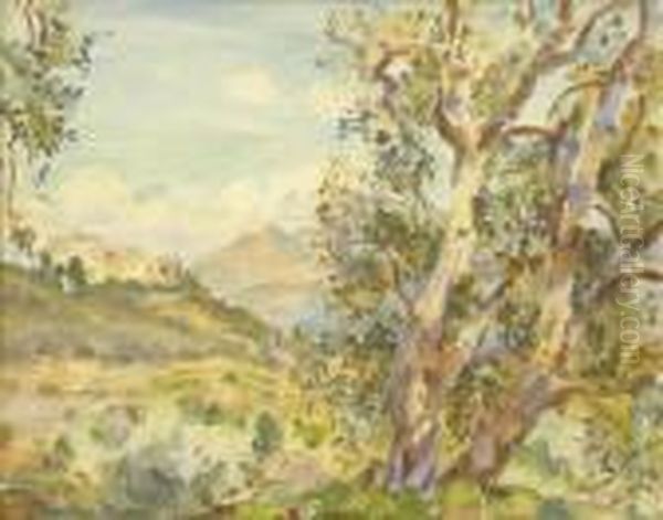 Carros - view 1