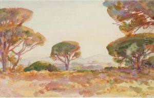 Pines At Sunset by Wilfred Gabriel De Glehn