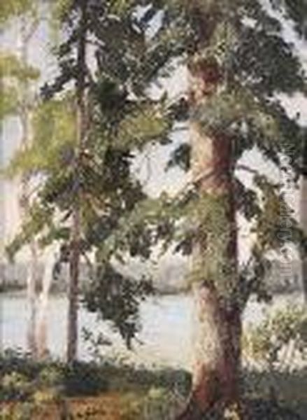 Trees - view 1