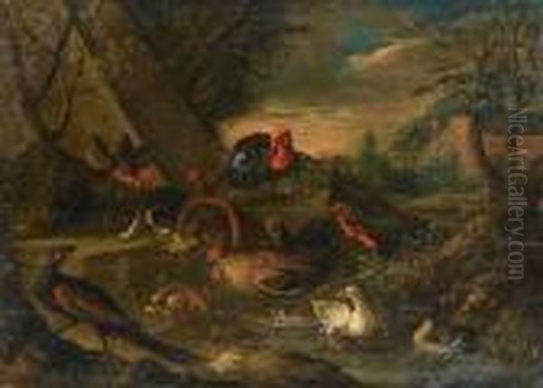 Turkeys - view 1