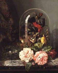 Still Life with Humming Bird in a Glass Dome by Edward Ladell